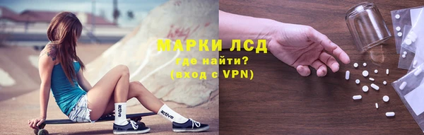 хмурый Нефтекумск