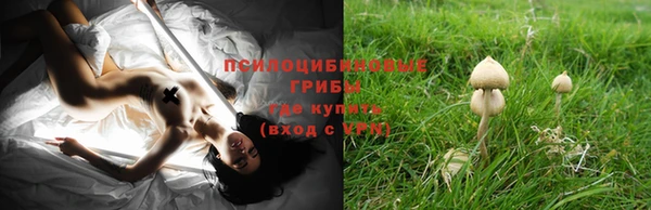 jwh Нефтегорск