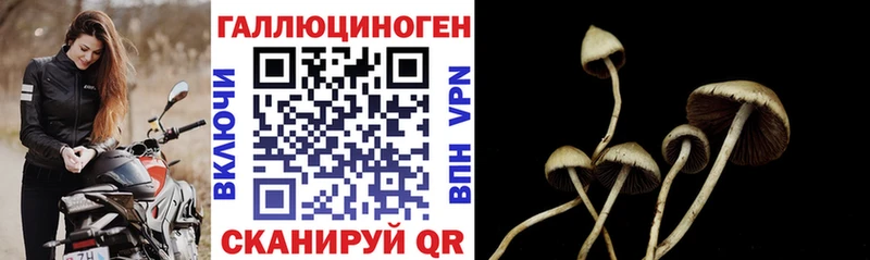 Галлюциногенные грибы Magic Shrooms  Новоалександровск 