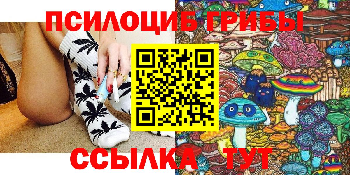 Псилоцибиновые грибы MAGIC MUSHROOMS  Псилоцибиновые грибы Psilocybe  Новоалександровск  Вход с VPN 