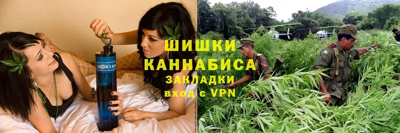 Канабис SATIVA & INDICA  мега как войти  Новоалександровск 